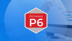 گزارش منابع P6