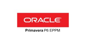 primavera p6